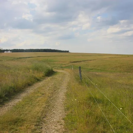 公寓 Harzhaus Drei Hexen