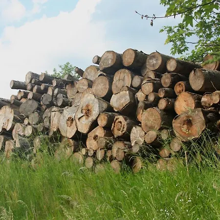 Harzhaus Drei Hexen 公寓