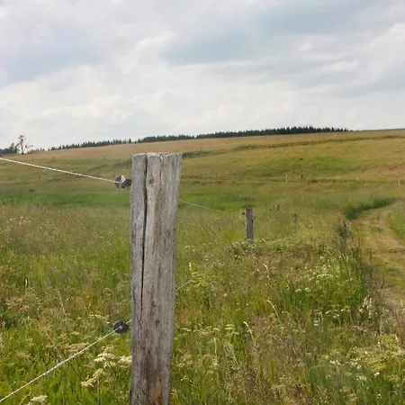 Harzhaus Drei Hexen 塔内