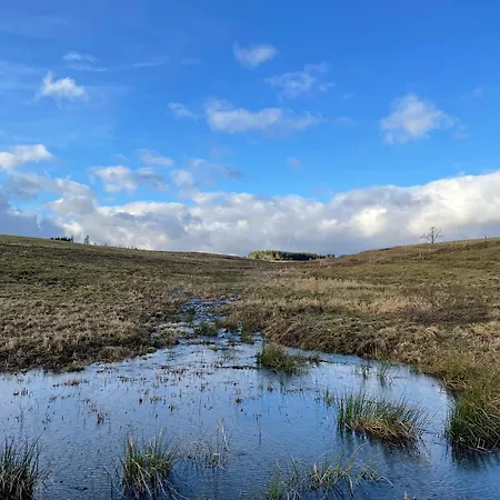 公寓 Harzhaus Drei Hexen