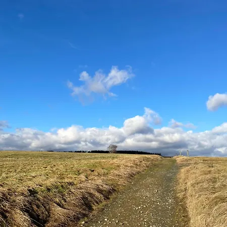 Harzhaus Drei Hexen 公寓 塔内