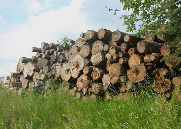 Harzhaus Drei Hexen Apartamento