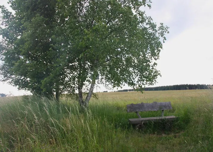 Apartamento Harzhaus Drei Hexen Tanne