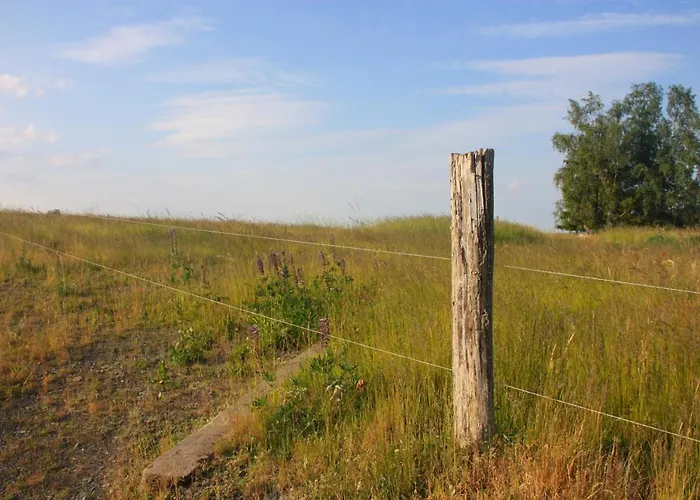 Apartamento Harzhaus Drei Hexen Tanne