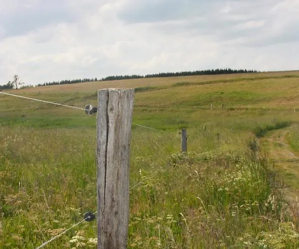 Harzhaus Drei Hexen Tanne