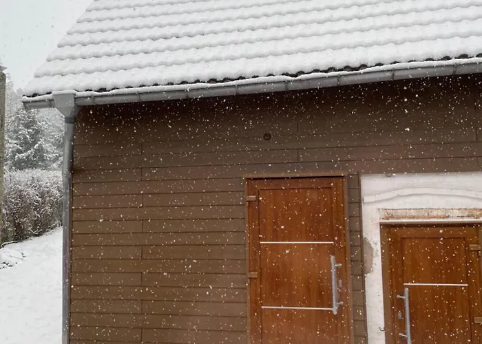 Apartamento Harzhaus Drei Hexen *