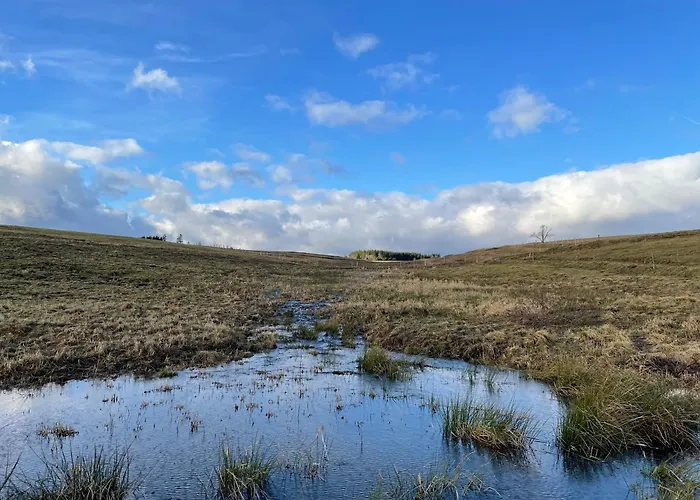 Apartamento Harzhaus Drei Hexen