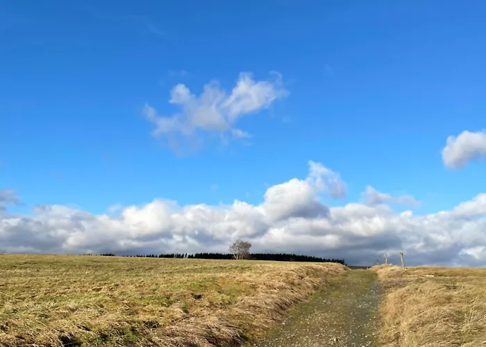 Harzhaus Drei Hexen Apartamento Tanne