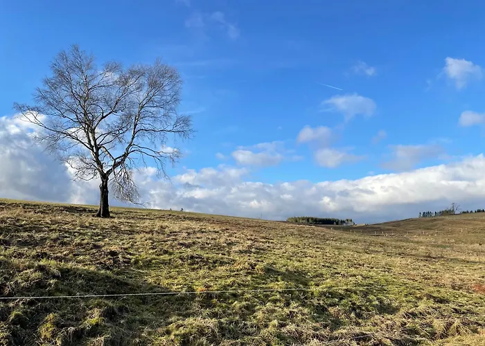 Harzhaus Drei Hexen Apartamento