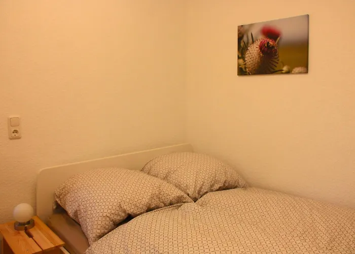 Harzhaus Drei Hexen * Tanne