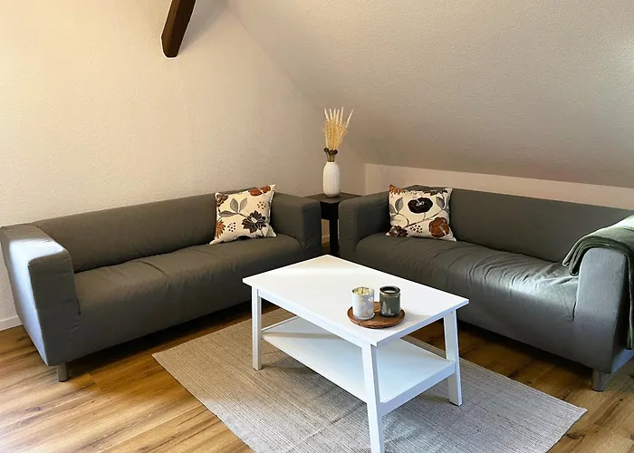 Apartamento Harzhaus Drei Hexen