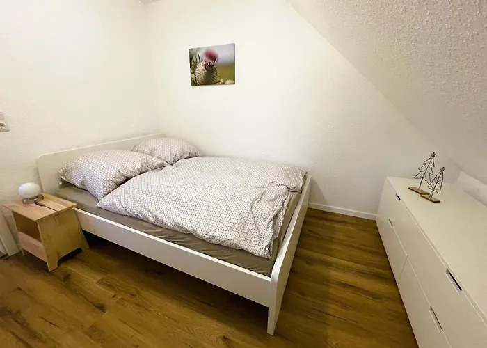 Apartamento Harzhaus Drei Hexen *