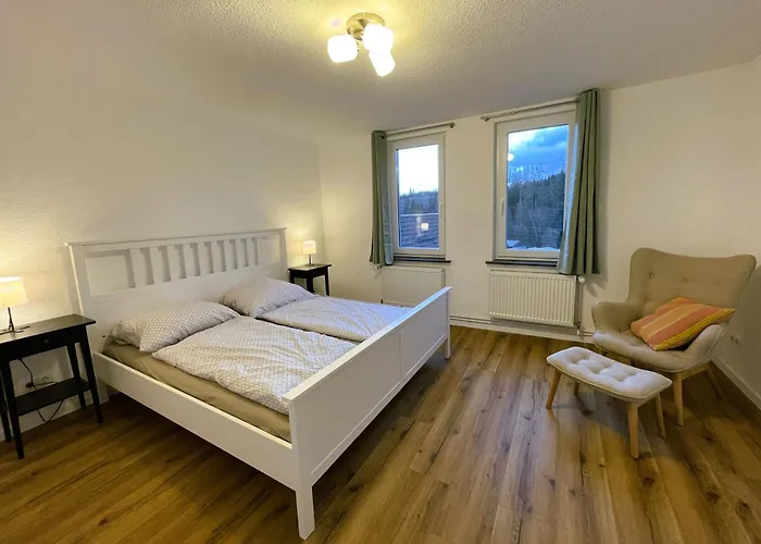 Apartamento Harzhaus Drei Hexen Tanne