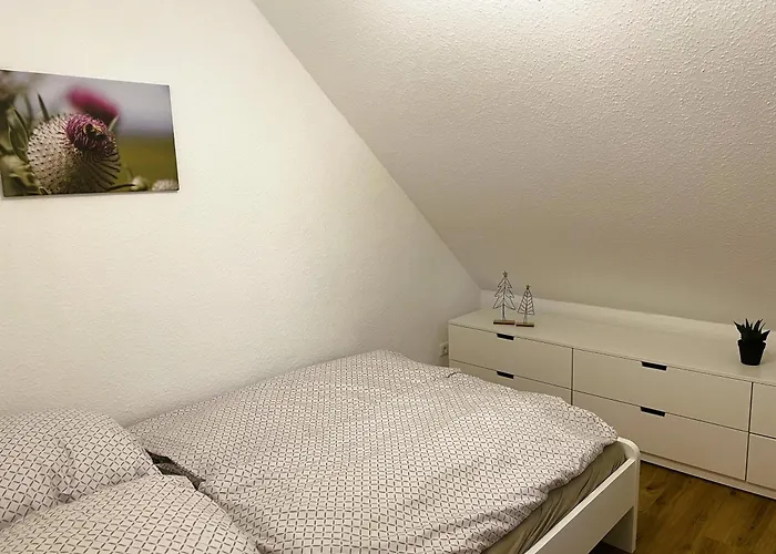 Harzhaus Drei Hexen * Tanne